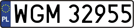 WGM32955