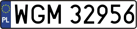 WGM32956
