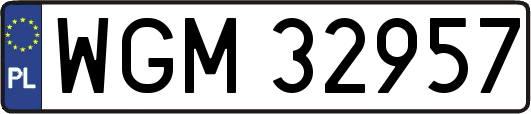 WGM32957