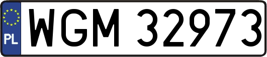 WGM32973