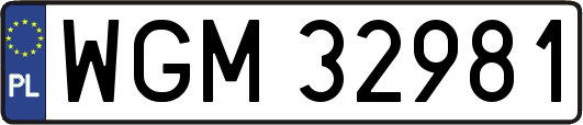 WGM32981