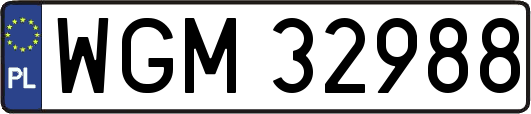 WGM32988