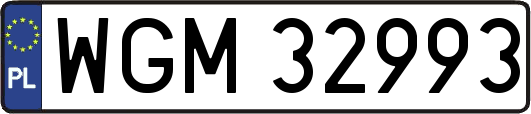 WGM32993
