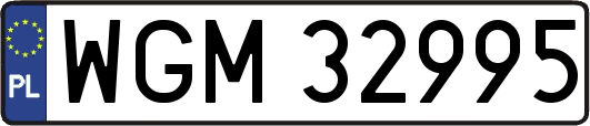 WGM32995