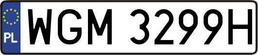 WGM3299H