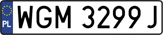 WGM3299J