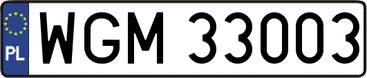 WGM33003