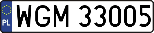 WGM33005