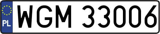 WGM33006