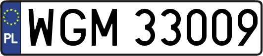 WGM33009