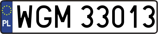 WGM33013