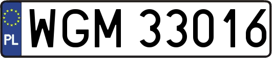 WGM33016
