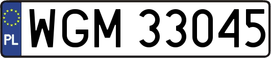 WGM33045