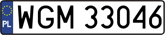 WGM33046