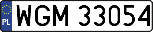 WGM33054
