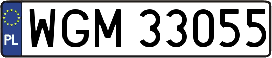WGM33055