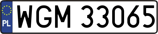 WGM33065