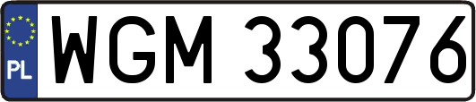 WGM33076