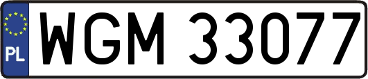 WGM33077