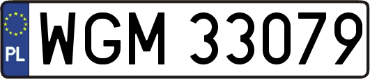 WGM33079