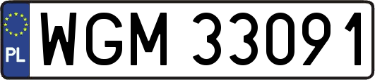 WGM33091
