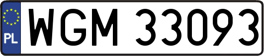 WGM33093