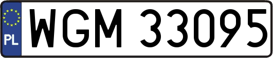WGM33095