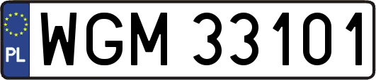 WGM33101