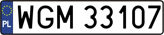 WGM33107