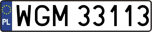 WGM33113