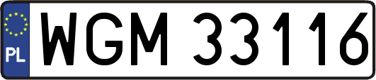 WGM33116