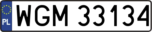 WGM33134