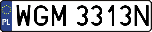 WGM3313N