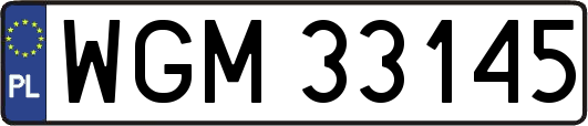 WGM33145