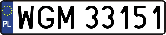 WGM33151