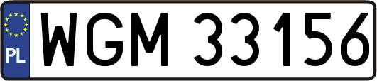WGM33156