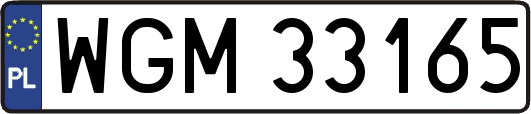 WGM33165