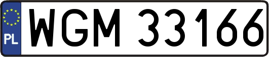 WGM33166