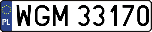 WGM33170