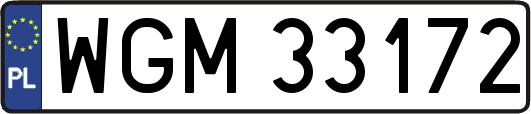 WGM33172