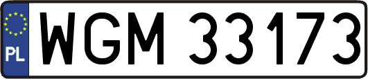 WGM33173