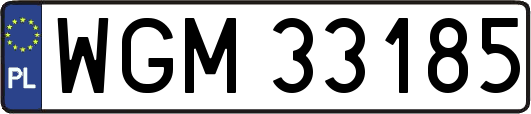 WGM33185