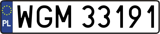 WGM33191