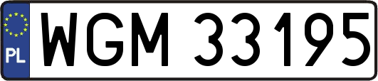 WGM33195
