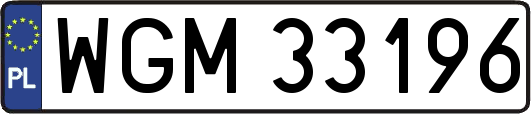 WGM33196