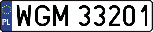 WGM33201