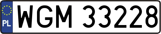 WGM33228