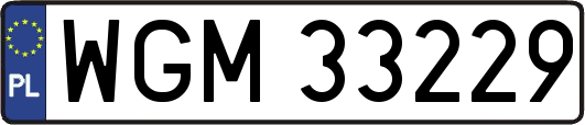 WGM33229