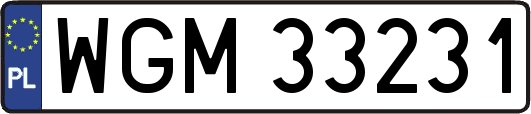 WGM33231