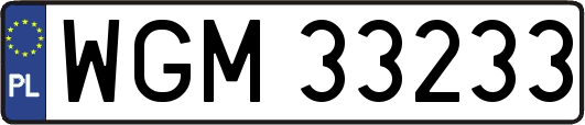 WGM33233